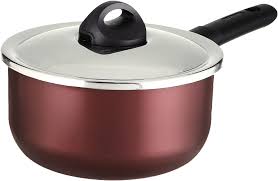 G6 كسرولة تيفال ارمتال 16